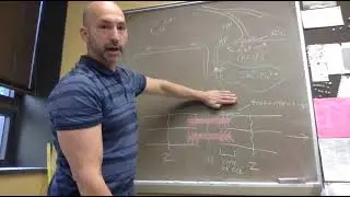Excitation-contraction coupling in skeletal muscle