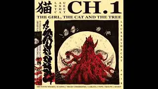 a cool lausse the cat type beat