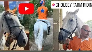 Archie #81 (Cholsey Farm Riding #2 || Includes Canters || August 24th 2025)