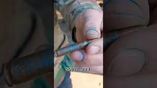 Ammo exposed to 2 years of weather: will it fire?