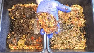 Fun 5th feeding of 