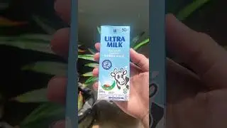 Susu UHT Ultra milk 250ml #susuuht #ultramilk #fullcream