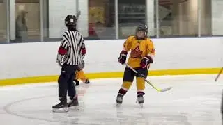 Minor Hockey (ND Rec - U11 C1) North Delta Sun Devils vs Mission Stars (2022)