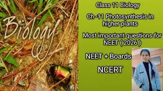 Class 11 Biology ch -11 Photosynthesis in higher plants  | NEET 2026 MCQs + NCERT Explanation 