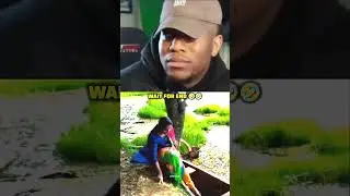 watch for end 🤣😂😀