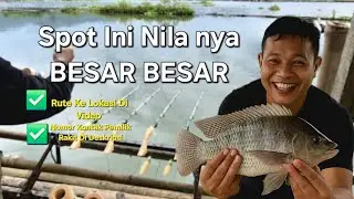 Gak Nyangka❗️ Spot Pa ONI Banyak Ikan Nila Besar | Mancing Danau Saguling
