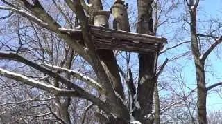 Prokopovich Beekeeping Museum in Snow, Kyiv, Ukraine, by Entomologist in Ukraine