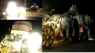 Horse Baggi Out Of Control