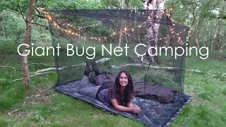 A Night in a Giant Bug Net