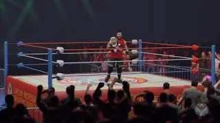 B'orrel v KO, the prize fighter