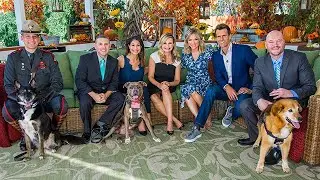The Hero Dog Awards Finalists: Part 2 - Home & Family