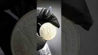 Morgan Silver Dollars- Add History To Your Collection!