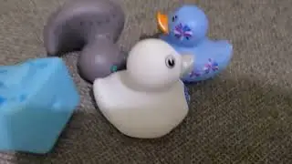 Godzilla vs rubber Duckys