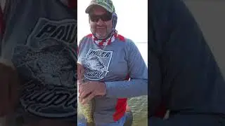 Live scoping crappie on Wister Lake Lake Oklahoma with #crazycoop & WSD
