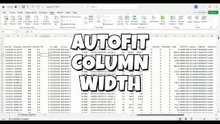 Autofit Column Width in excel 11