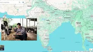 This video ends when I spot a cow in India