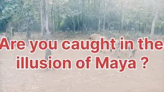 Are you caught in Illusion Of Maya ? #creation#viral #yt #trending #anjaneya101#youtubevideo
