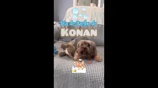 Dia de Banho do Konan na Terra dos Pets