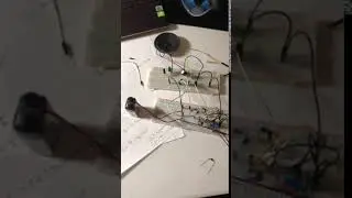 IMG 2520
