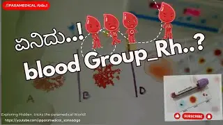 Blood group test in kannada |ABO AND RH group in kannada
