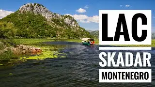 Mont&eacute;n&eacute;gro: le lac de Skadar.
