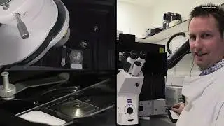Blizard Advanced Light Microscopy facility