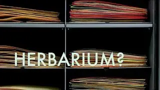 Parks Canada Application: Herbarium?