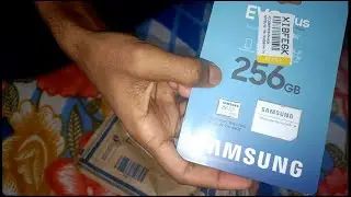 256 GB SAMSUNG Evo Plus MicroSDXC 130 MB/s Memory Card  (With Adapter) - Rajeev Kumar Gautam