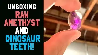 Unboxing Fossilized Dinosaur Teeth & Raw Amethyst!