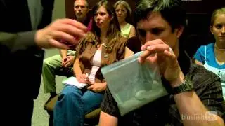No Cell Phones - Bluefish TV