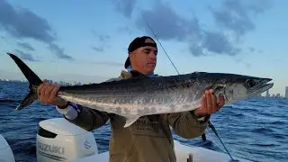 Pesca con SOLO JIGS usando la TECNICA del JIGGING LENTO, Miami FL, Pesca de solo 15 minutos!
