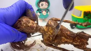 Abandoned Barbie Doll Rescue 😭 Extreme Muddy Restoration & Makeover
