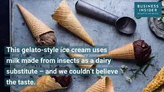 We blind-tasted ice-cream made from insect milk &ndash; and couldn&rsquo;t believe the taste