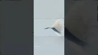 World's Most Deadliest Fighter Jet