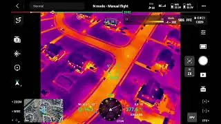 Thermal Drone finds Macy on day 6