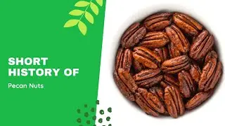 Short history of Pecan Nuts