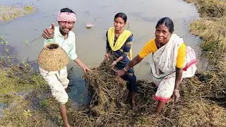 পুকুর থেকে দল টেনে টাটকা মাছ ধরে রান্না করে জমিয়ে খাওয়াদাওয়া করলাম।।