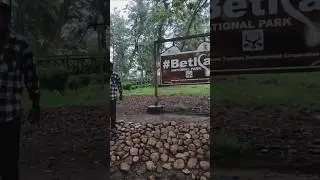 Betla National park , jharkhand #betlanationalpark