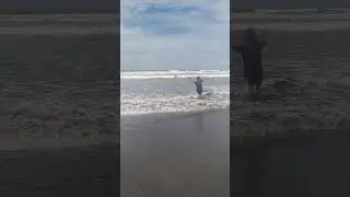 Pantai exotice #remix #beach #viral #viral #travel