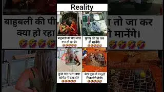 Reality Motivation Memes | Funny But Inspiring Video #motivation #inspiration #quotes #memes