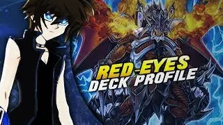 Red-Eyes Deck Profile! (December 2019//Yu-Gi-Oh!)