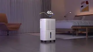A Drier Home. A More Comfortable You