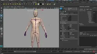 maya rigging human ik