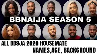 bbnaija 2020 all housemate names,age and background