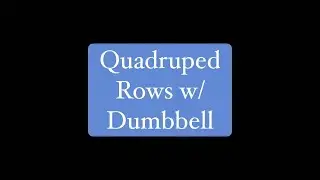 Quadruped rows with a DB - EBM Fitness Solutions