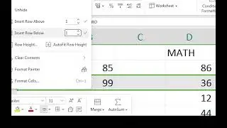 Excel | Insert Row | Column | Sheet | Delete Row | Column