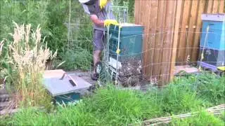 Baardvorming Ecokasten