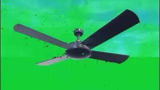 Fan green screen animation vedio 3d animation vedio