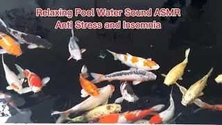 Relaxing Pool Water Sound ASMR, Anti Stress and Insomnia@Water and Nature Channel@Indwip_WN