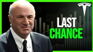 Kevin O'Leary's WARNING to ALL Tesla Investors: Are You Prepared?